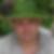 Profilbild von Niko Angerstein