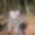 Profilbild von Doreen Enseleit