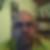 Profilbild von Mathias Wulf