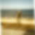 Profilbild von Sebastian Nauck