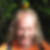 Profilbild von Peter Springer-Ferazin