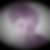 Profilbild von Silvia Campe