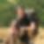 Profilbild von Matthias Dr. Funk