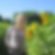 Profilbild von Imke Fischer