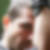 Profilbild von Erdas Mardas