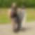 Profilbild von Hans Wellbaum