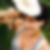 Profilbild von Silke Rutsch