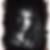 Profilbild von Thomas Brenneis