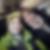 Profilbild von Stephanie Jeschok