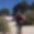 Profilbild von Silvia Wenda