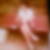 Profilbild von Ingrid Krause