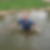 Profilbild von Ulf Ehlers