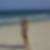 Profilbild von Marion Zachary