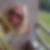 Profilbild von Susanne Rink