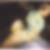 Profilbild von Iris Greve