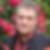 Profilbild von Michael Prause