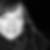 Profilbild von Julia Forner