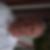 Profilbild von Martin Ruge