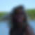 Profilbild von Iris Winkel
