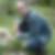 Profilbild von Bernd Nickaes