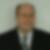 Profilbild von Gerhard Hamann