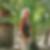 Profilbild von Martina Kawan