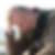 Profilbild von Christian Mangels