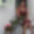 Profilbild von Julia Somborn
