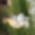 Profilbild von Evelyn Landt