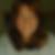 Profilbild von Susanne Rolo Maia