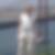 Profilbild von Markus Forster