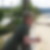 Profilbild von Dagmar Plum