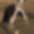 Profilbild von Bastian Gottfried