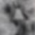 Profilbild von Veith Nützel