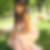 Profilbild von Claudia Diego