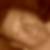 Profilbild von Thomas Brandt