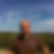 Profilbild von Patrick Hartmann