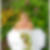 Profilbild von Christin Noack