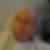 Profilbild von Konrad Donath