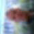 Profilbild von Robert Woithe