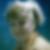 Profilbild von Birgit Wellner