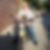 Profilbild von Walter Boelsems