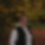 Profilbild von Sina Walleit