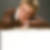Profilbild von Petra Grasberger