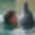 Profilbild von Birgit Jahnke
