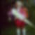 Profilbild von Annegret Hasch