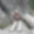 Profilbild von Tina Gilles