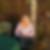 Profilbild von Caroline Heidysch