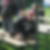 Profilbild von Stefan Seefeld