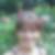 Profilbild von Silvia Krause-Dietering